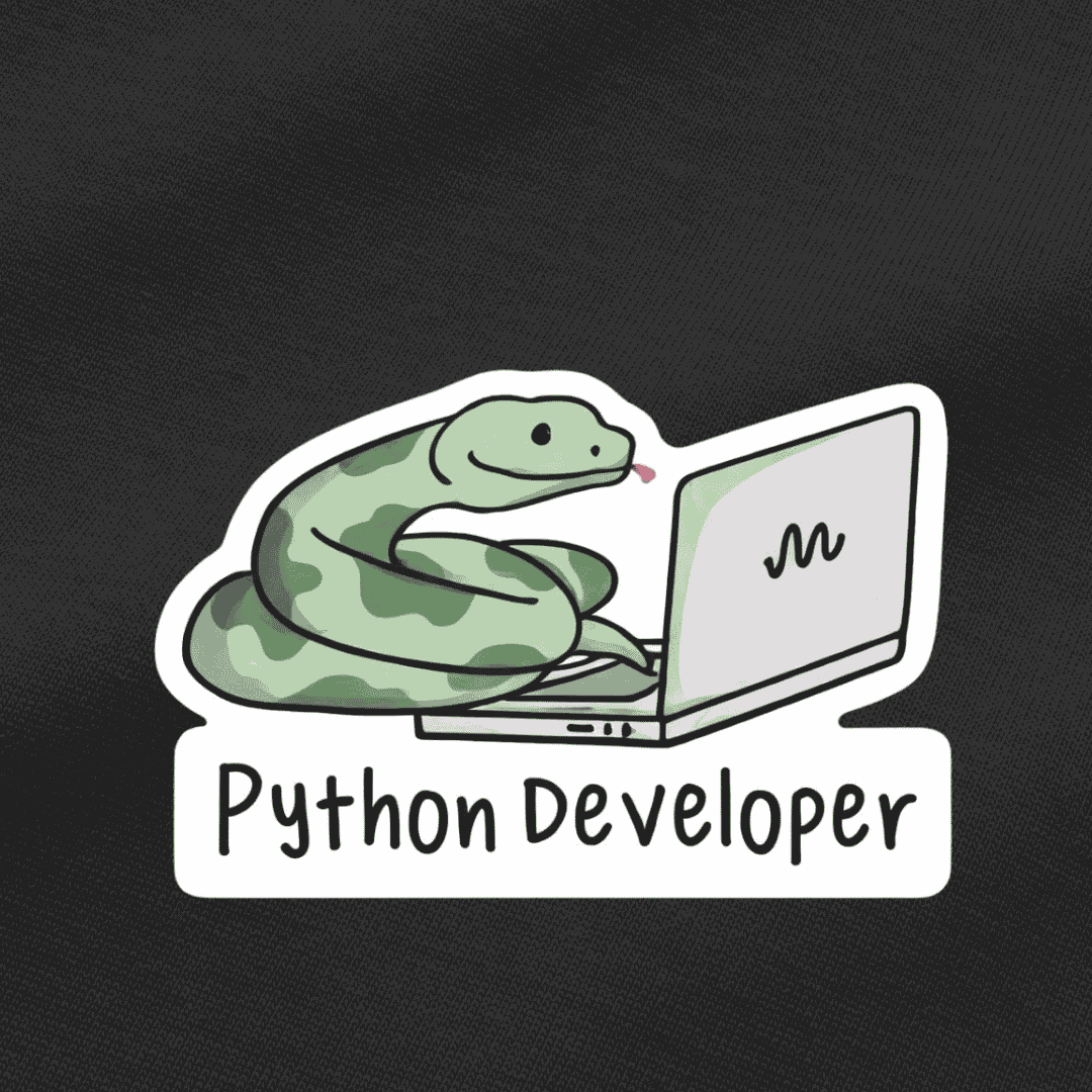 Vibetara-Python Snake Coder – Funny Python Developer Oversized T-Shirt