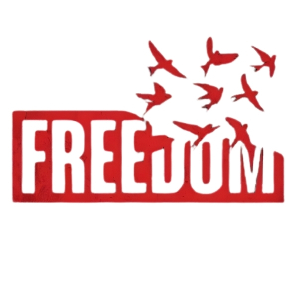 Vibetara -Freedom Graphic T-Shirt- Regular and Oversized Tees -100% cotton Babasaheb Tee